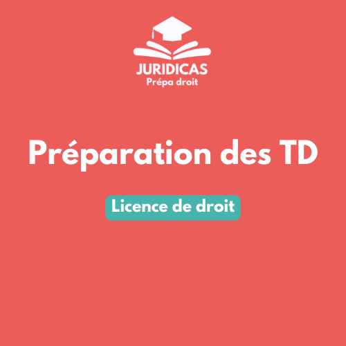 Préparation des cours en TD pour les étudiants en licence de droit