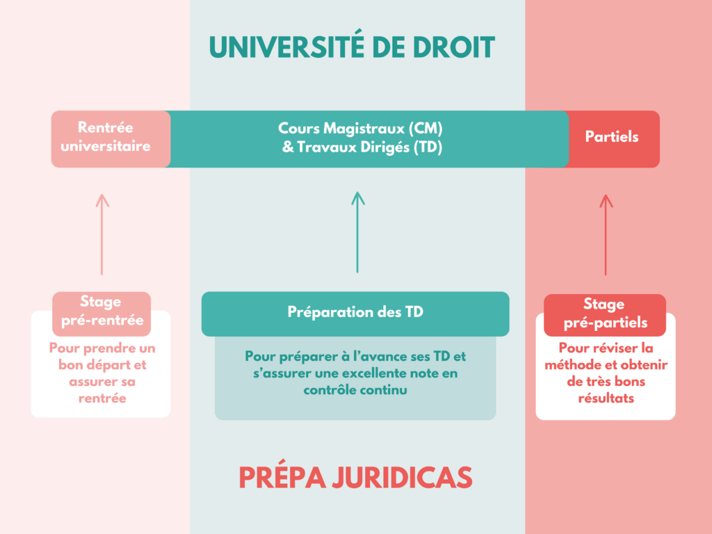 juridicas fonctionnement université droit